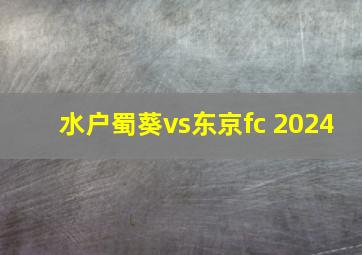 水户蜀葵vs东京fc 2024